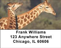 Giraffes Address Labels