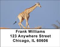 Giraffes Address Labels