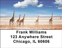 Giraffes Address Labels