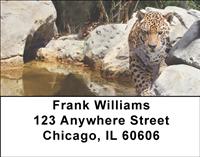 Leopards Address Labels