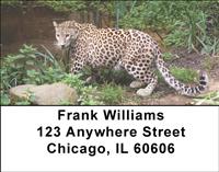 Leopards Address Labels