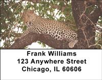 Leopards Address Labels