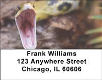 Snakes Address Labels