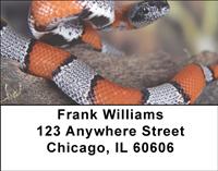 Snakes Address Labels