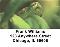 Snakes Address Labels