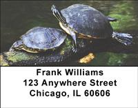 Turtles Address Labels