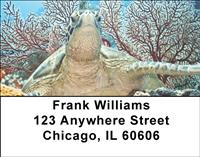 Turtles Address Labels
