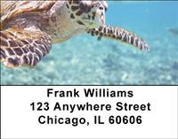Turtles Address Labels