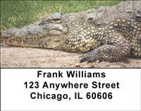 Gators and Crocs Address Labels