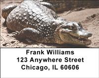 Gators and Crocs Address Labels
