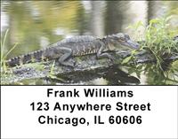Gators and Crocs Address Labels