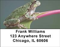 Tree Frogs Address Labels