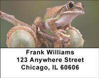 Tree Frogs Address Labels