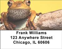 Tree Frogs Address Labels