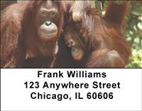Primates Address Labels