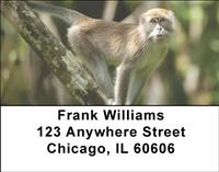 Primates Address Labels
