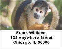 Primates Address Labels
