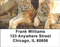 Tigers Address Labels