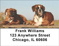 Boxers Address Labels