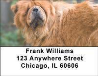 Chow Chow Address Labels