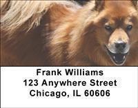 Chow Chow Address Labels