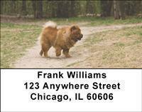 Chow Chow Address Labels