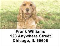 Cocker Spaniels Address Labels