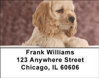 Cocker Spaniels Address Labels