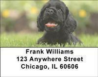 Cocker Spaniels Address Labels