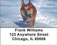 Corgis Address Labels