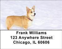 Corgis Address Labels