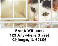 Adopt a Cat Address Labels