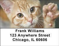 Adopt a Cat Address Labels
