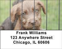 Adopt a Dog Address Labels