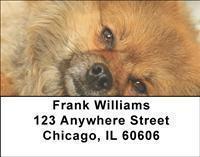 Adopt a Dog Address Labels