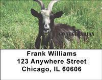Go Vegetarian Address Labels