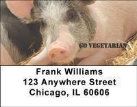 Go Vegetarian Address Labels