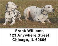 Dalmatians Address Labels