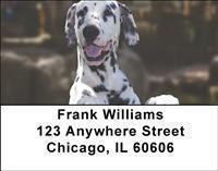 Dalmatians Address Labels