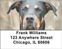 Dobermans Address Labels