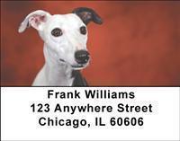Whippets Address Labels
