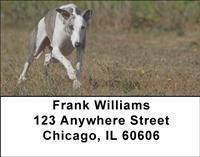 Whippets Address Labels