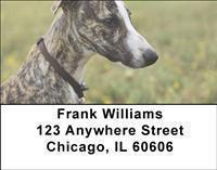 Whippets Address Labels