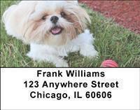Shih Tzus Address Labels