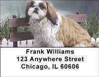 Shih Tzus Address Labels