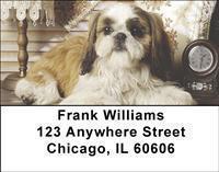 Shih Tzus Address Labels