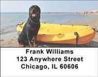 Rottweilers Address Labels