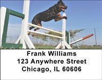 Rottweilers Address Labels