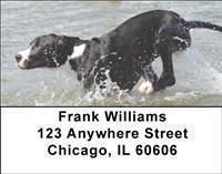 Great Danes Address Labels