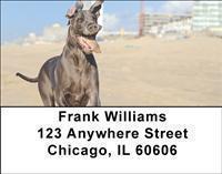 Great Danes Address Labels